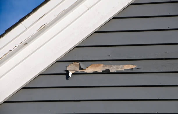 Storm Damage Siding Repair in Bigfork, MT